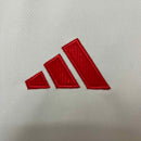 Camisola SC Internacional 2024/25 Away