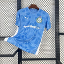 Camisola SE Palmeiras 2025/26 - Goleiro